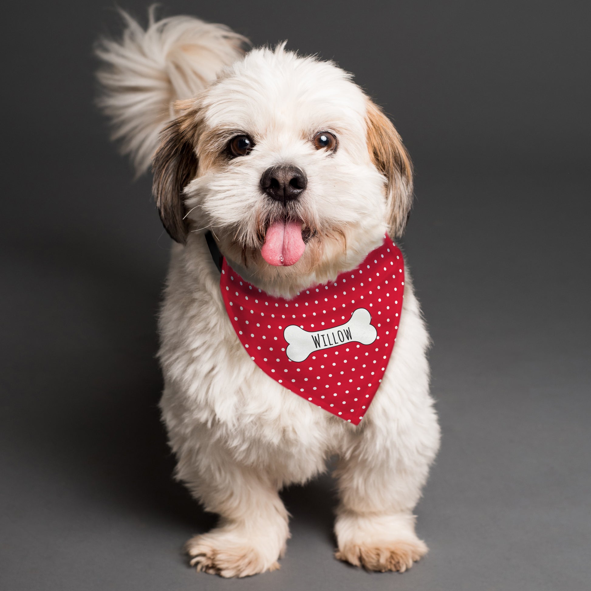 Personalised Red Polka Dot Dog Bandana - MK&JD Gifts