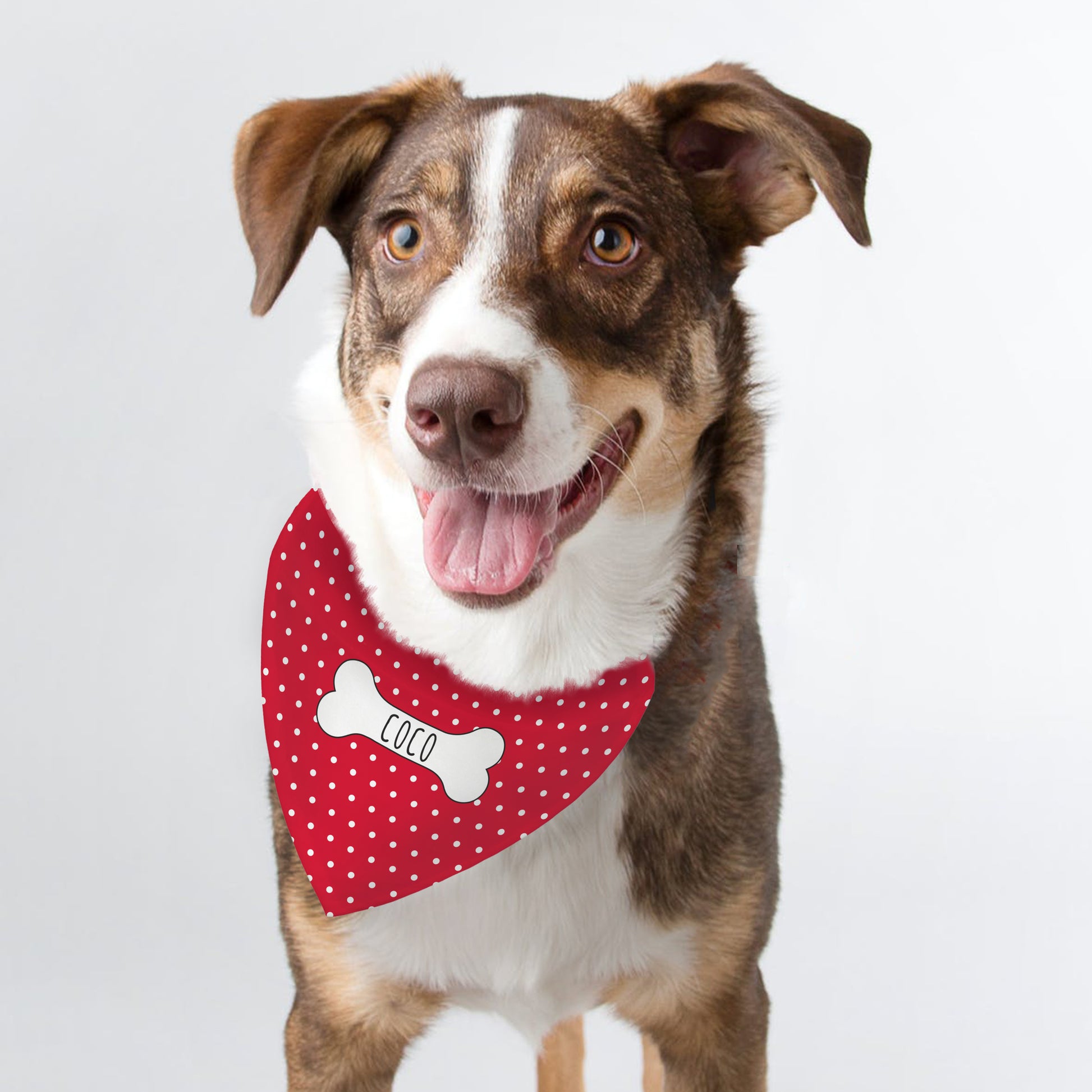 Personalised Red Polka Dot Dog Bandana - MK&JD Gifts