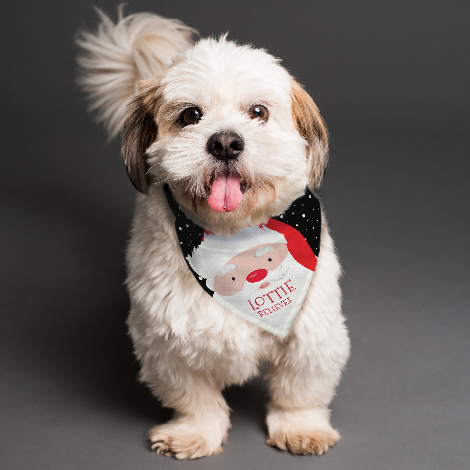Personalised Santa Dog Bandana - MK&JD Gifts