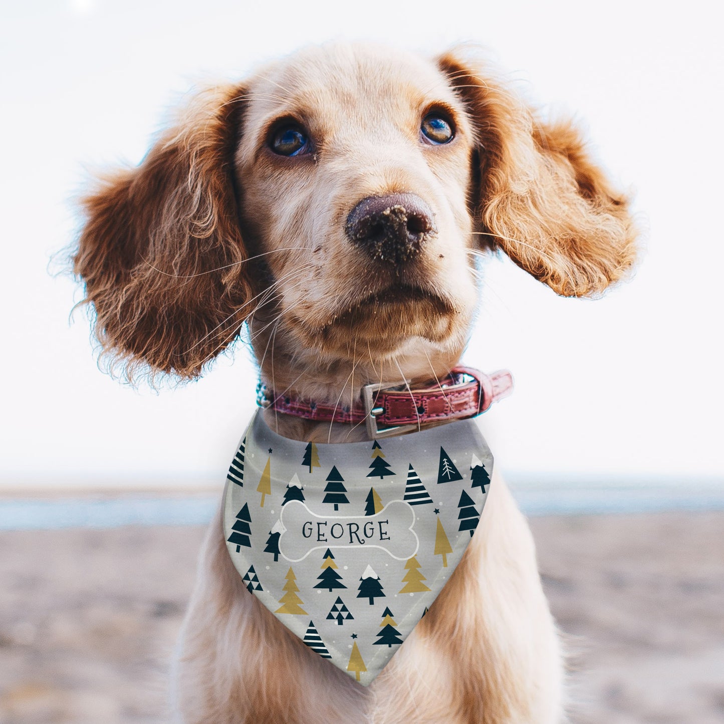 Personalised Christmas Tree Dog Bandana - MK&JD Gifts