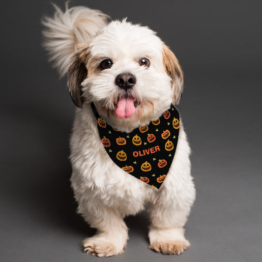 Personalised Pumpkin Patch Dog Bandana - MK&JD Gifts