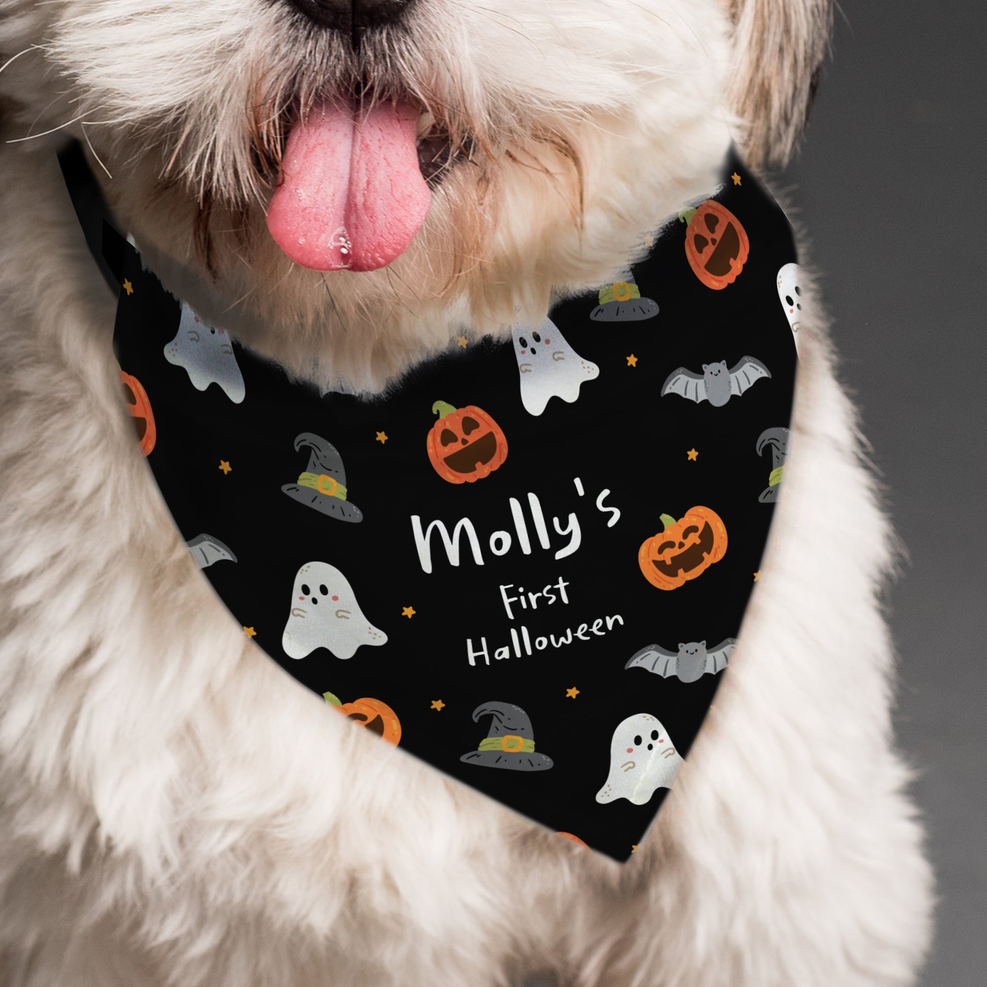 Personalised Halloween Dog Bandana - MK&JD Gifts