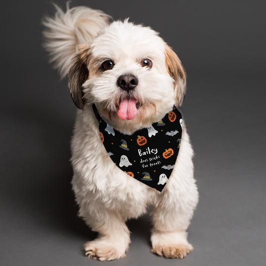 Personalised Halloween Dog Bandana - MK&JD Gifts