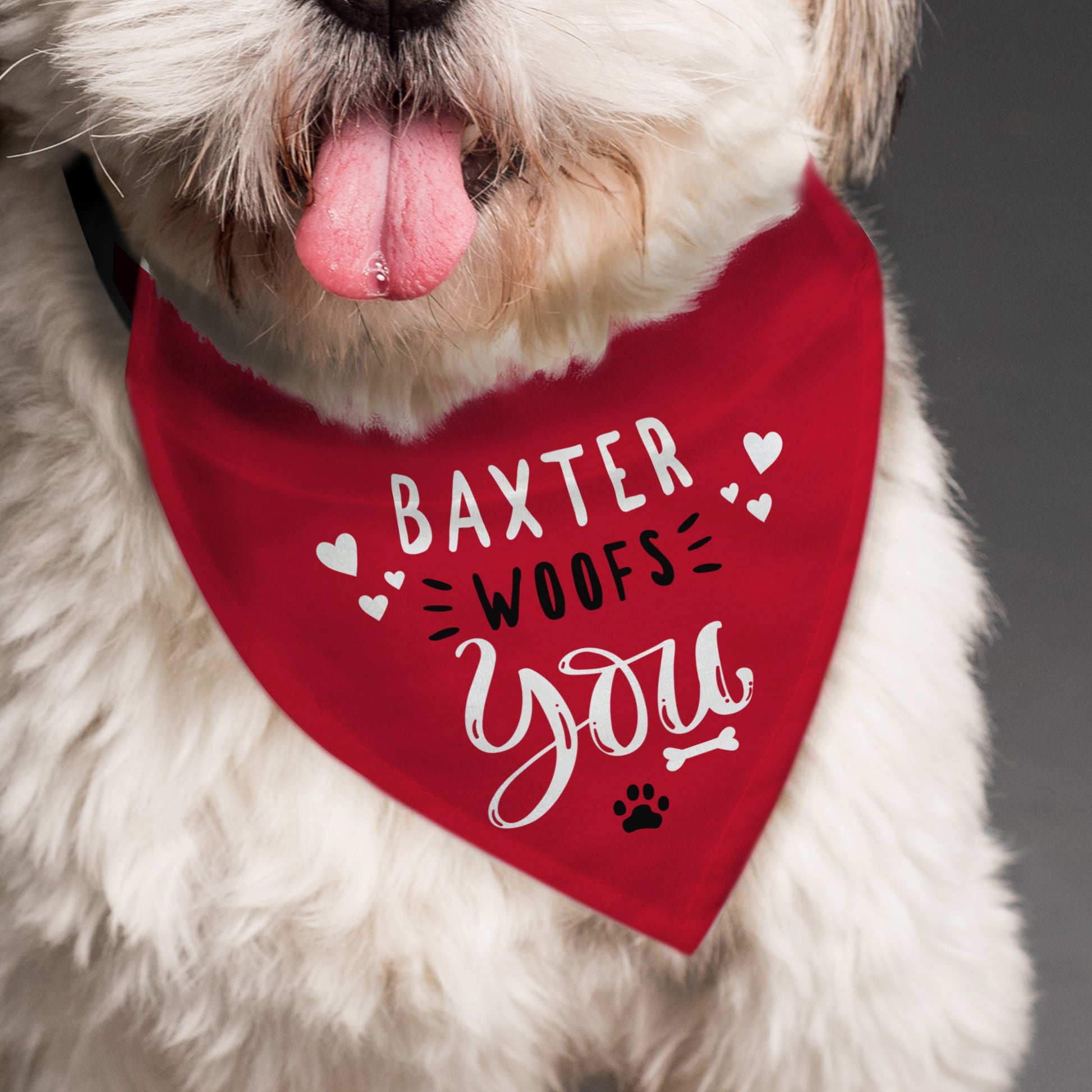 Personalised Woofs You Dog Bandana - MK&JD Gifts