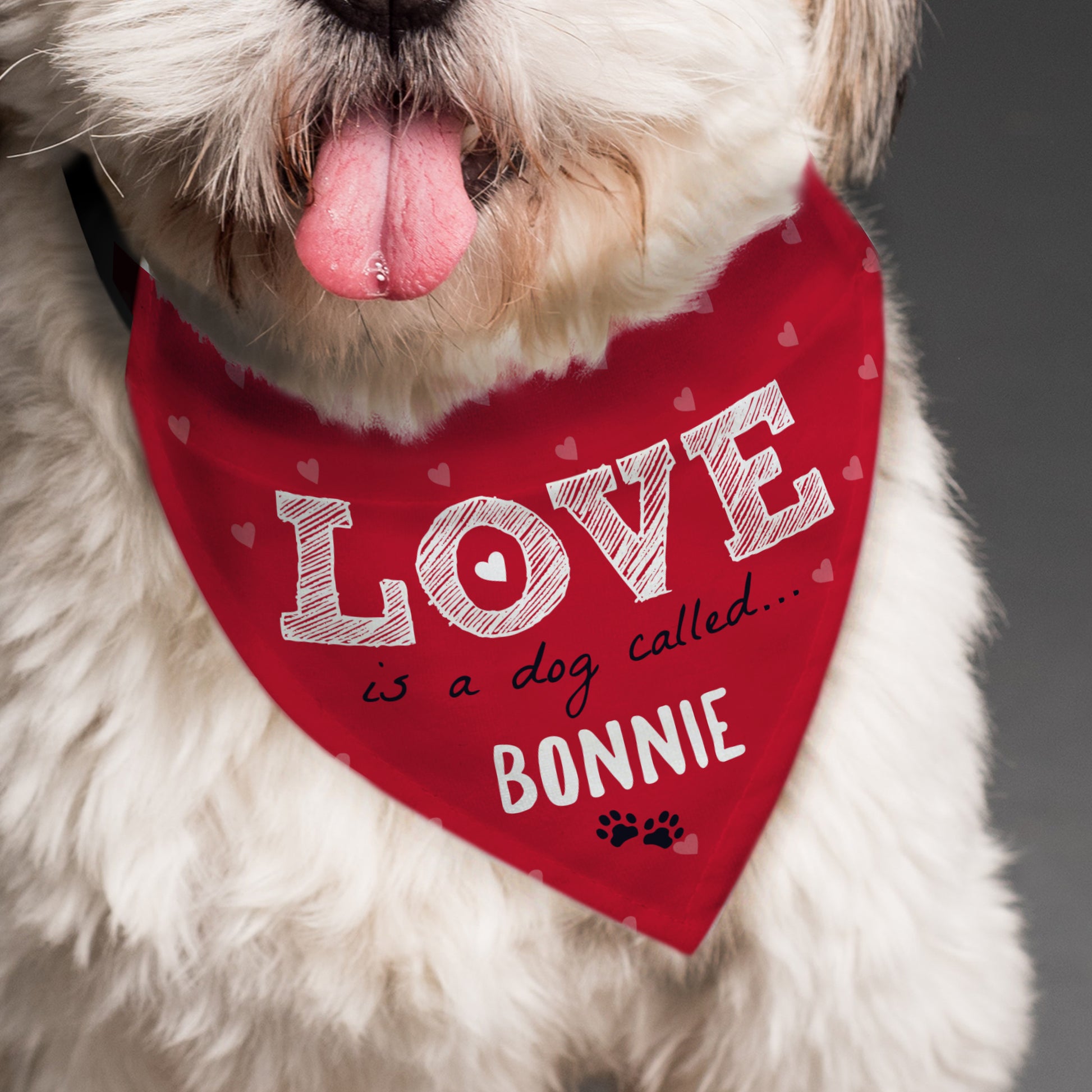 Personalised Love is... Dog Bandana - MK&JD Gifts
