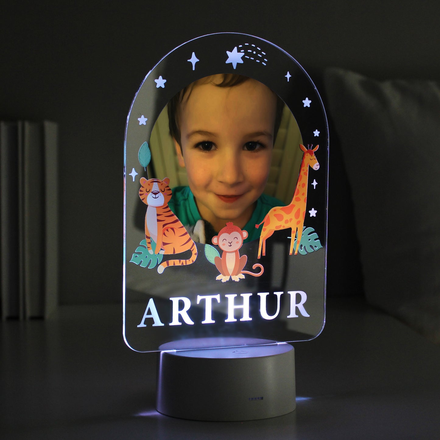 Personalised Animal Photo Upload LED Colour Changing Night Light - MK&JD Gifts