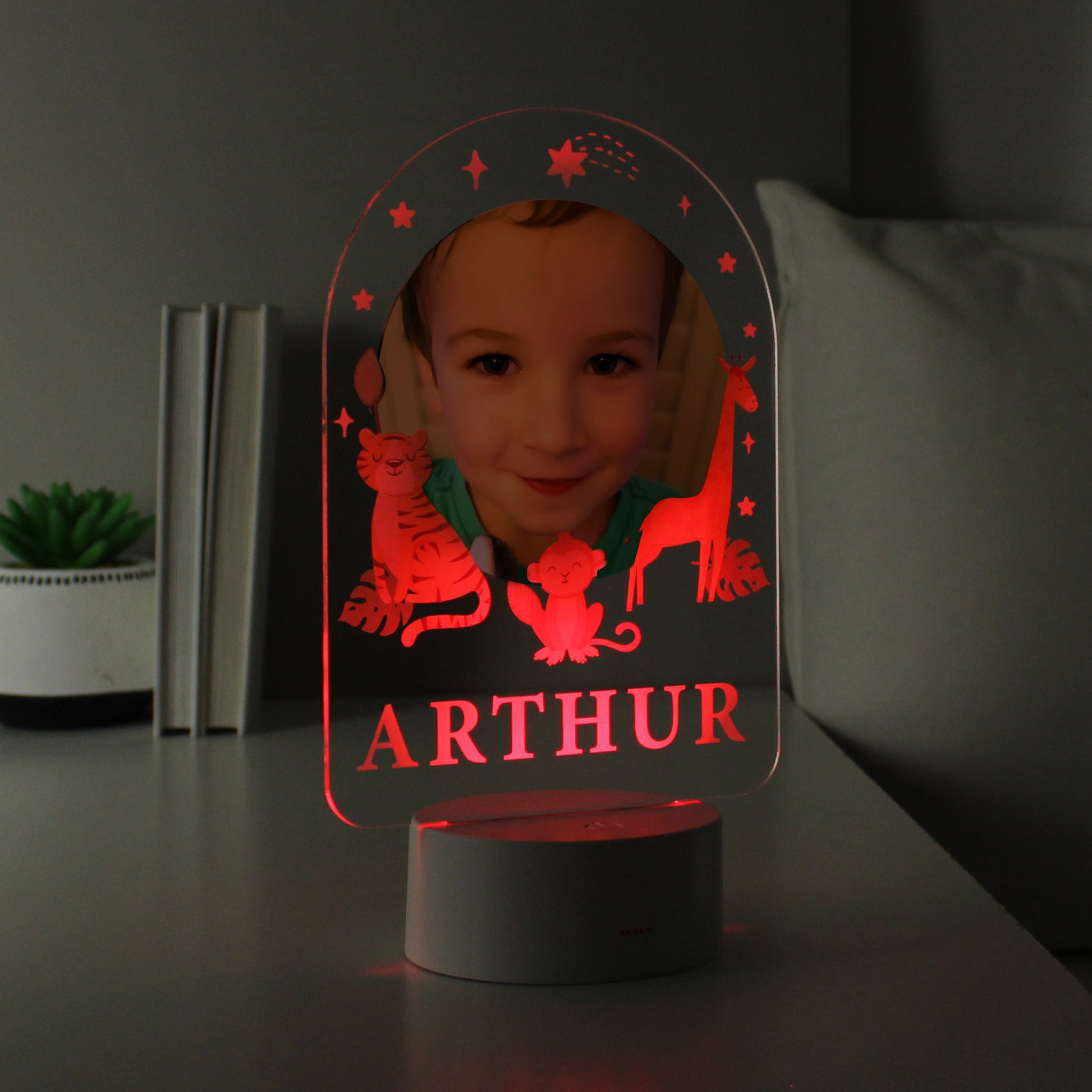Personalised Animal Photo Upload LED Colour Changing Night Light - MK&JD Gifts