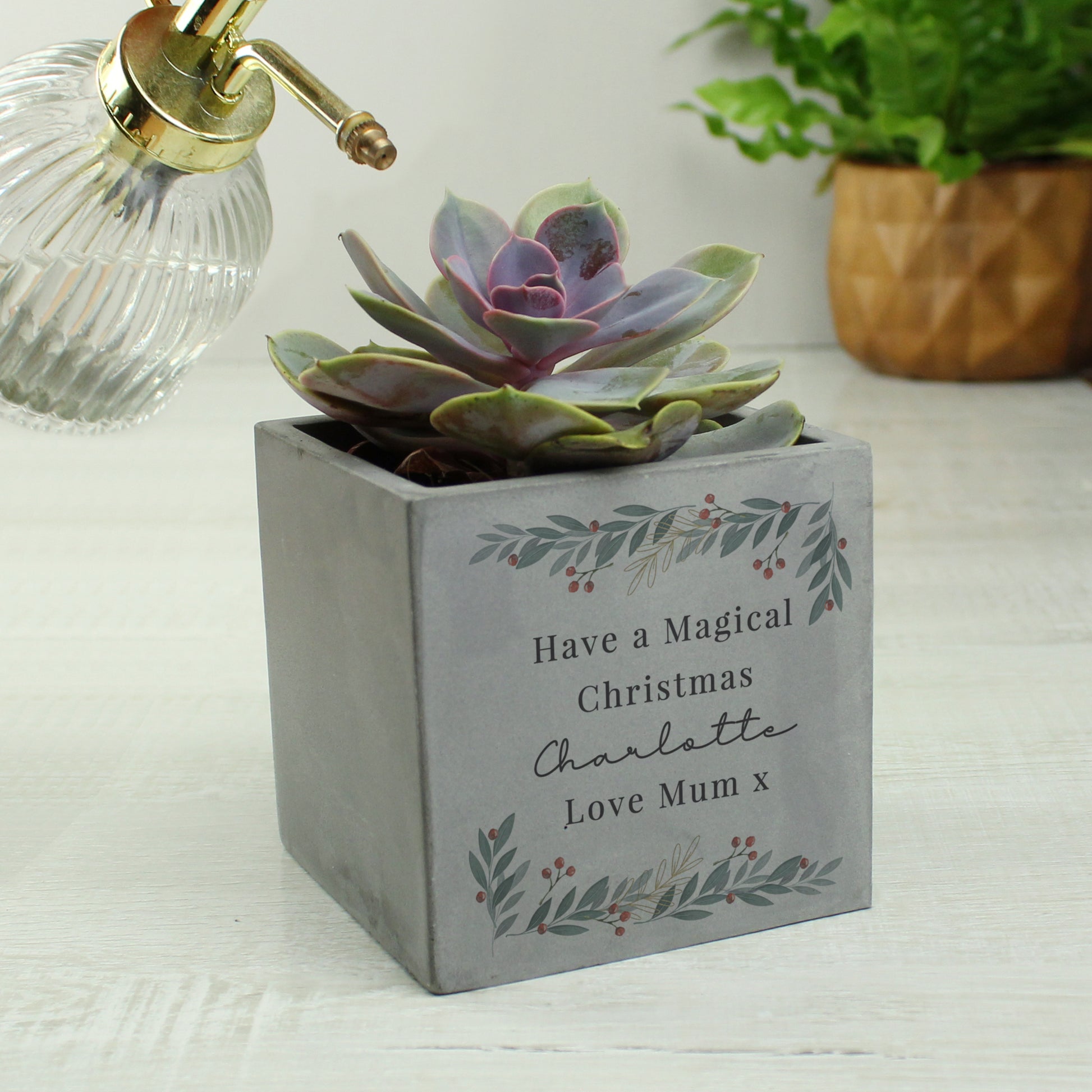 Personalised Christmas Foliage Concrete Planter - MK&JD Gifts